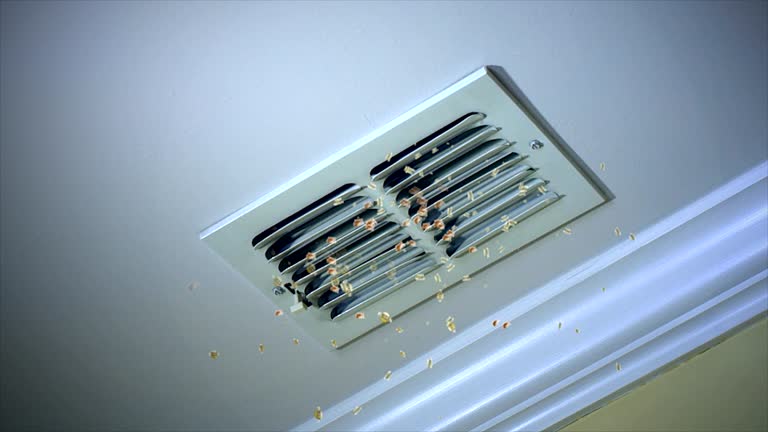 Best Emergency Air Duct Cleaning  in Mayer, MN