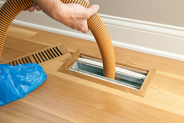 Best Ventilation Cleaning Services  in Mayer, MN