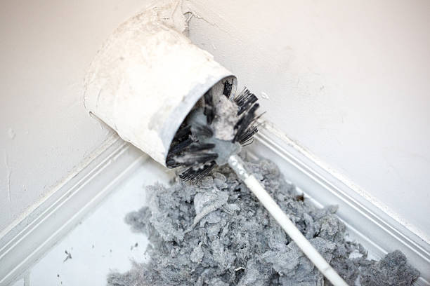 Best HVAC System Cleaning  in Mayer, MN