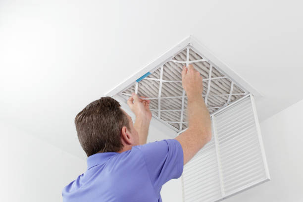 Best Affordable Air Duct Cleaning  in Mayer, MN